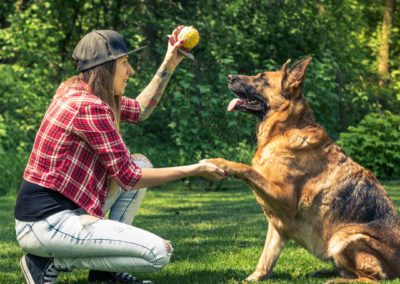 Entrenamiento Pastor Aleman - Guia de Razas de Perros