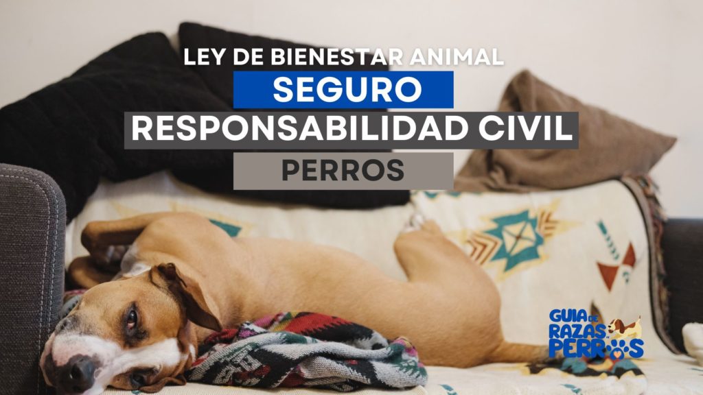 seguro de responsabilidad civil para perros - Ley Bienestar Animal