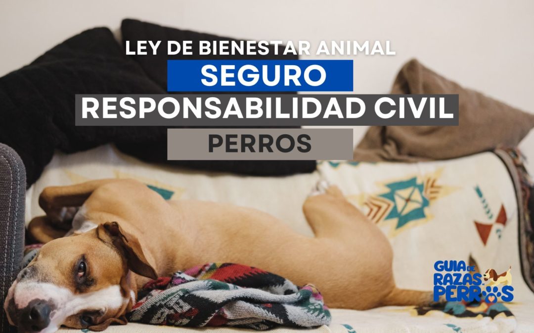 Seguro de Responsabilidad Civil para Perros. Ley de bienestar animal