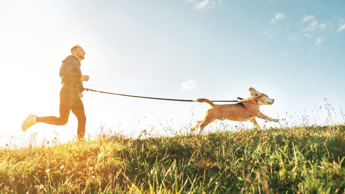 Ejercicios para perros - Correr con tu perro | Guia de razas de perros