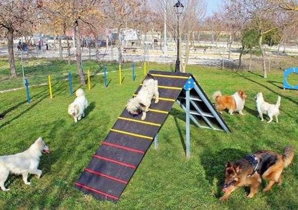 Primer Parque de Perros en Santiago de Chile