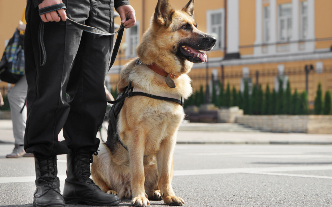 La Generalitat nombra a la patrulla canina agentes reconocidos del cuerpo de policía