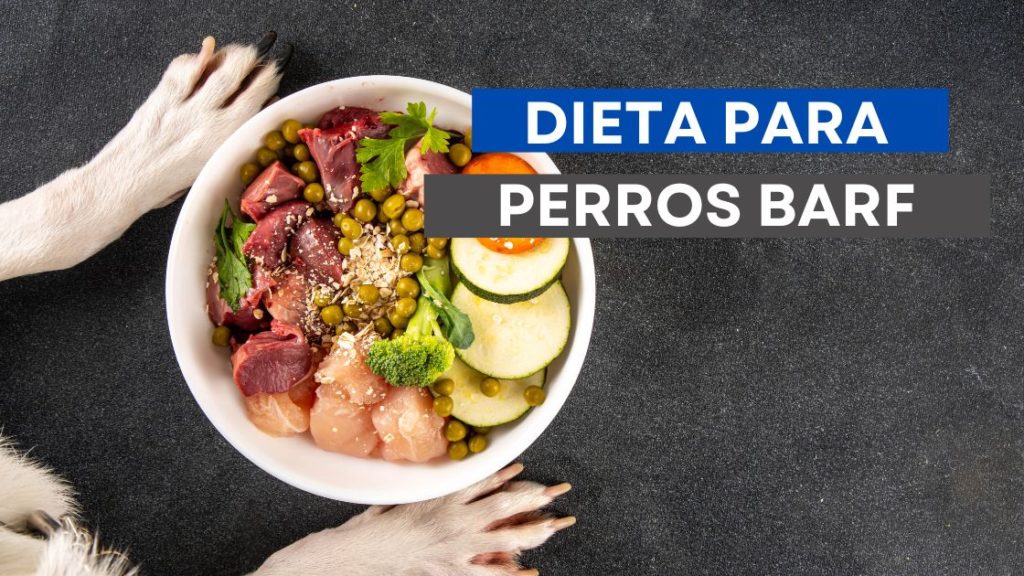 Dieta Barf Perros Guia de Perros Alimentacion