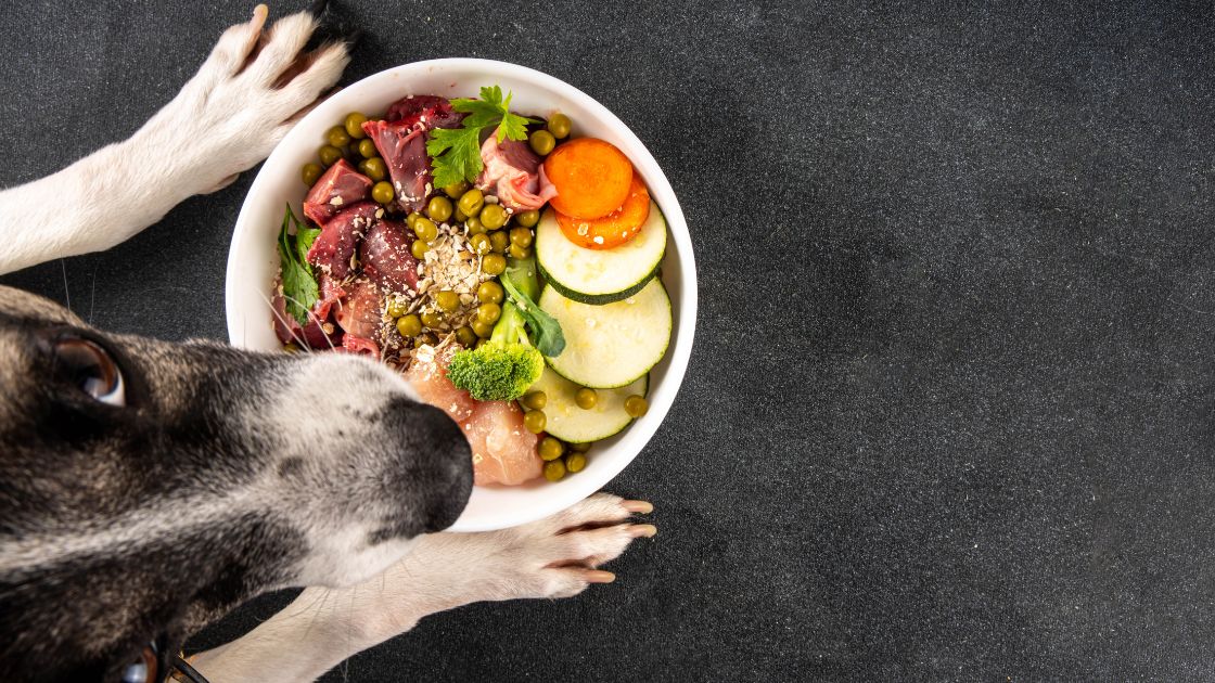 Dieta Barf Perros Guia de Perros Alimentacion