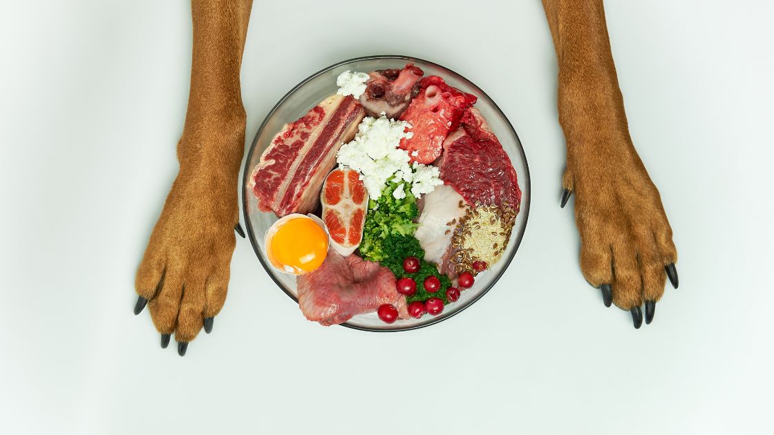 Dieta Barf Perros Guia de Perros Alimentacion