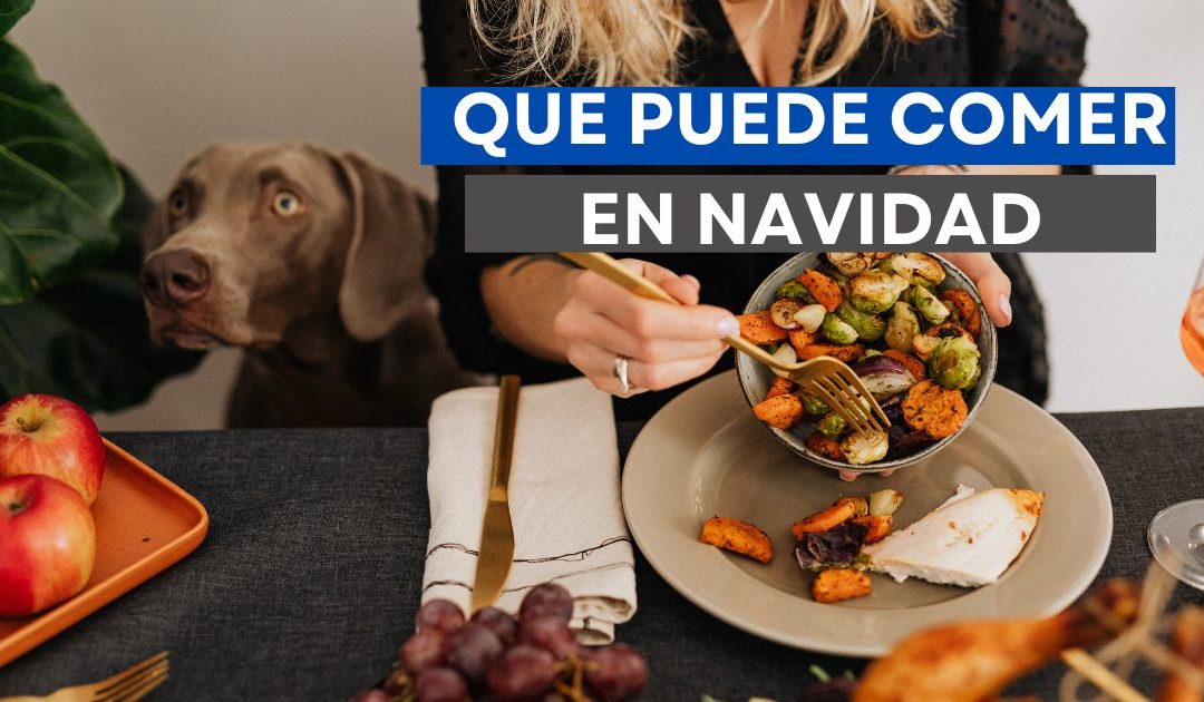 Cena de Navidad y Perros: Qué Sobras de navidad son Seguras